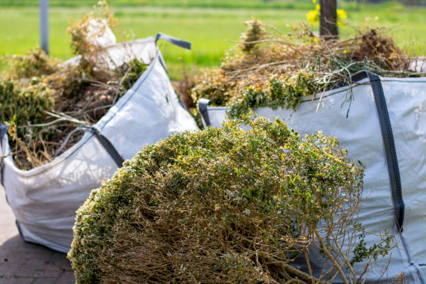 Best Commercial Junk Removal  in Ignacio, CO